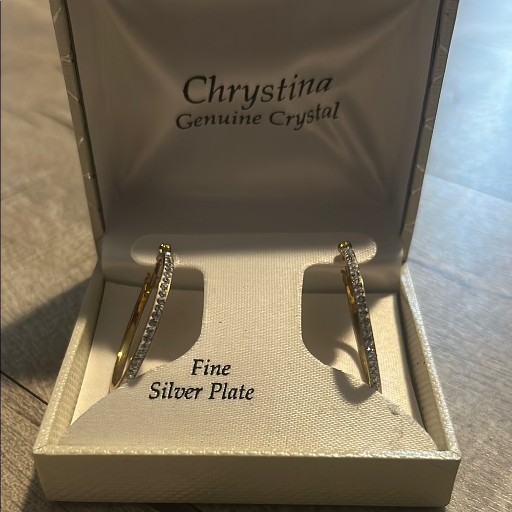 Gold and Silver Hoop Earrings with Hinged Closure